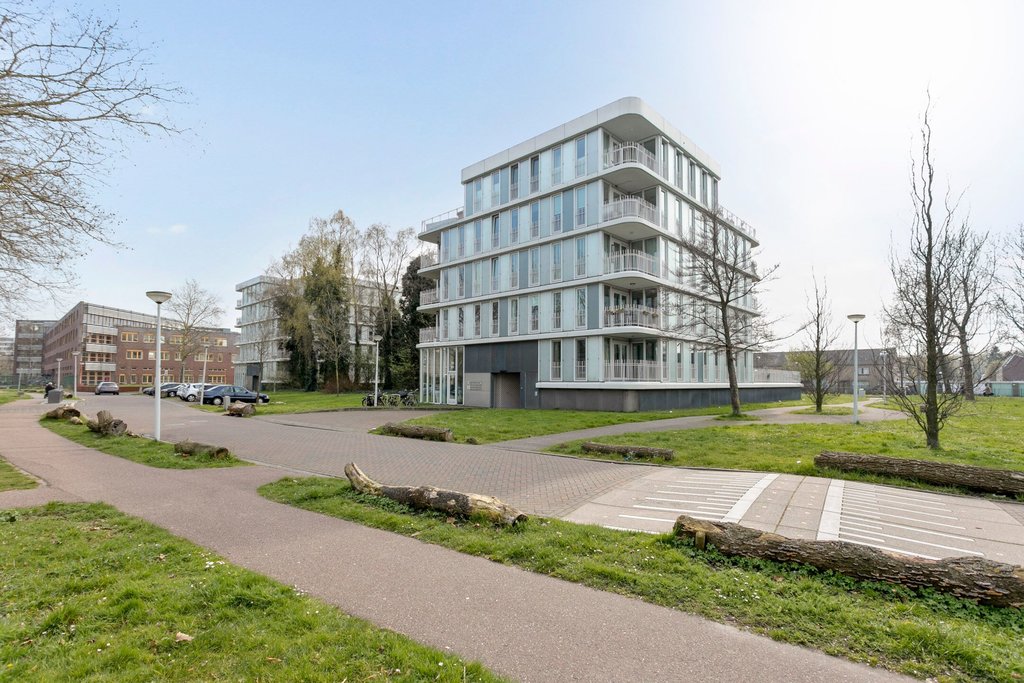 Professor J.H. Gunningstraat 61  AMSTERDAM