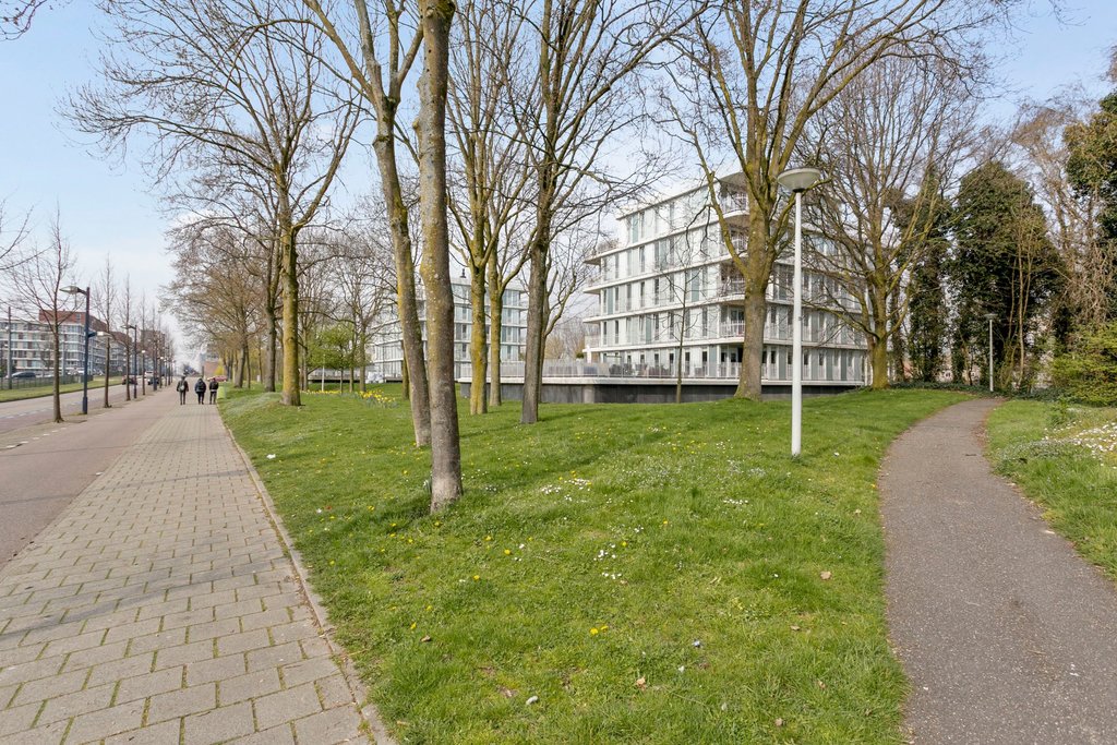 Professor J.H. Gunningstraat 61  AMSTERDAM