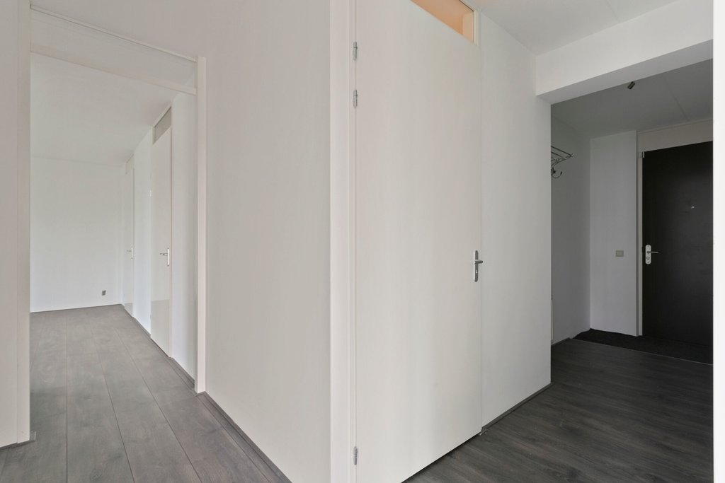 Professor J.H. Gunningstraat 61  AMSTERDAM