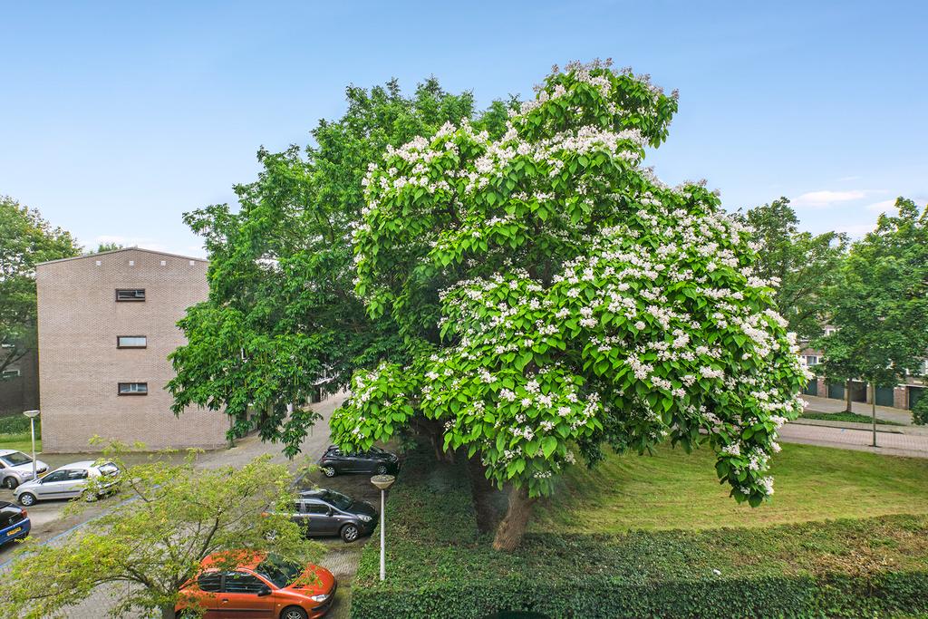 Julianaplantsoen 249 DIEMEN Julianaplantsoen 249 DIEMEN