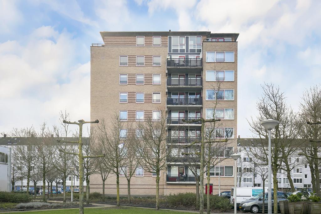 Veldzicht 79 +PP AMSTERDAM