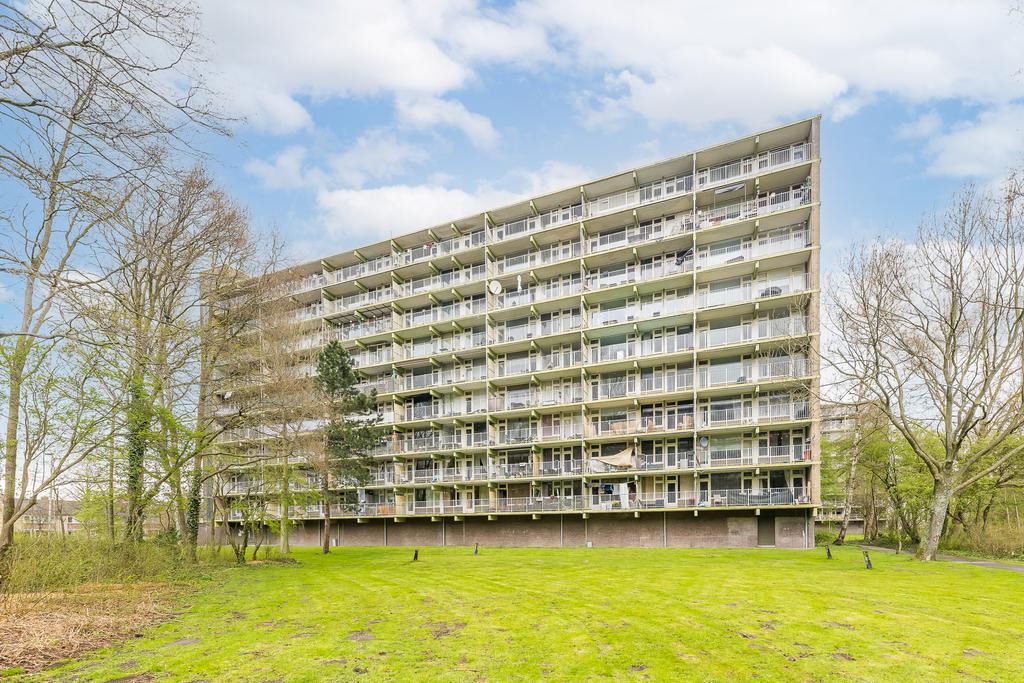 Westervenne 205 A PURMEREND Westervenne 205 A PURMEREND