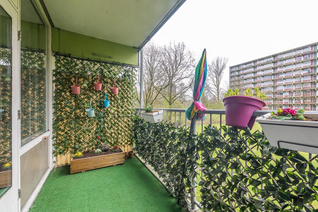 Westervenne 205 A PURMEREND Westervenne 205 A PURMEREND