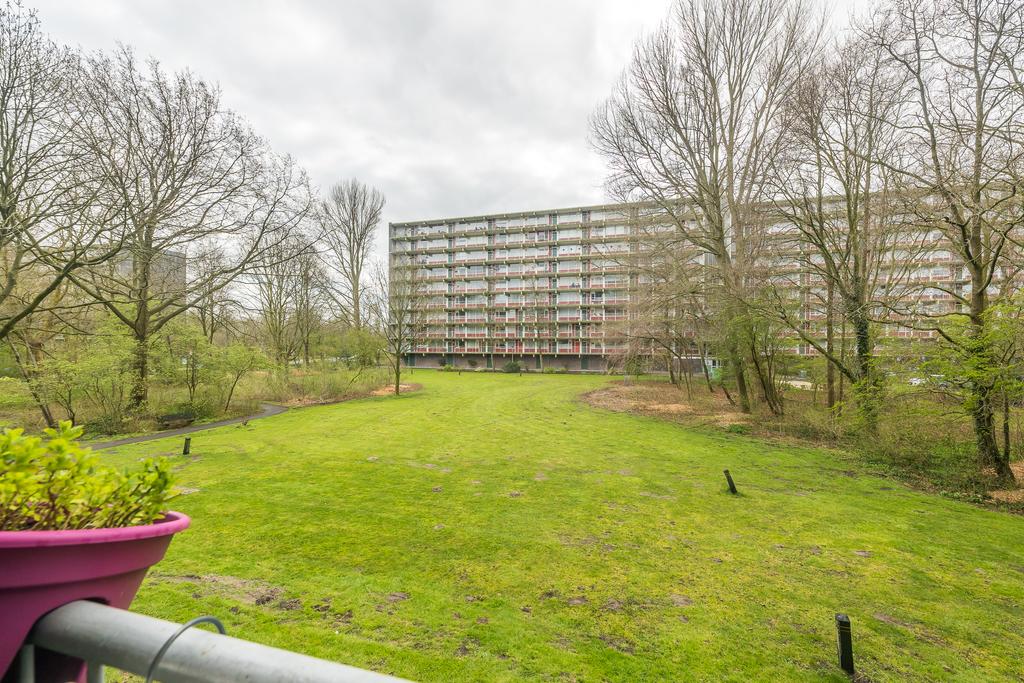Westervenne 205 A PURMEREND Westervenne 205 A PURMEREND