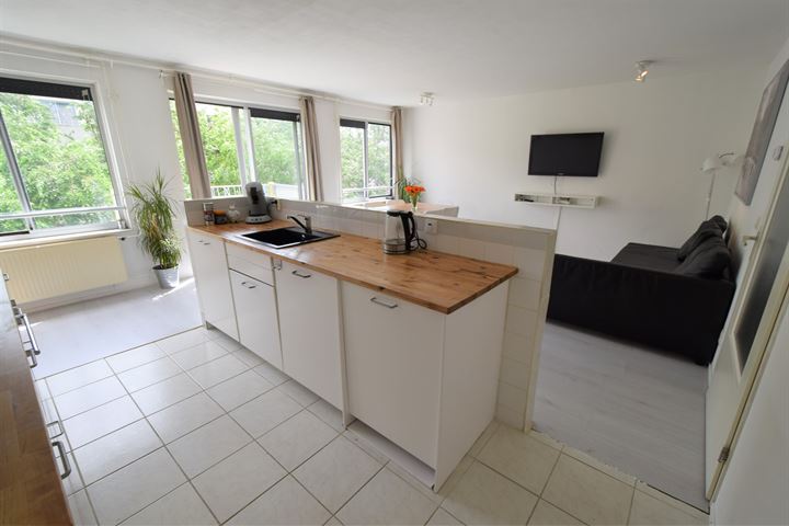 Borneolaan 310  AMSTERDAM