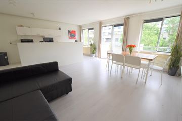 Borneolaan 310  AMSTERDAM