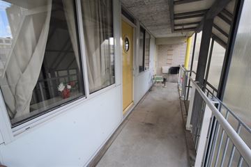 Borneolaan 310  AMSTERDAM