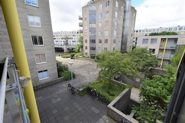 Borneolaan 310  AMSTERDAM