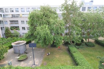 Borneolaan 310  AMSTERDAM